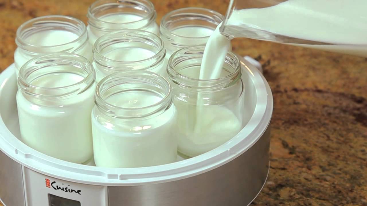 yogurt maker