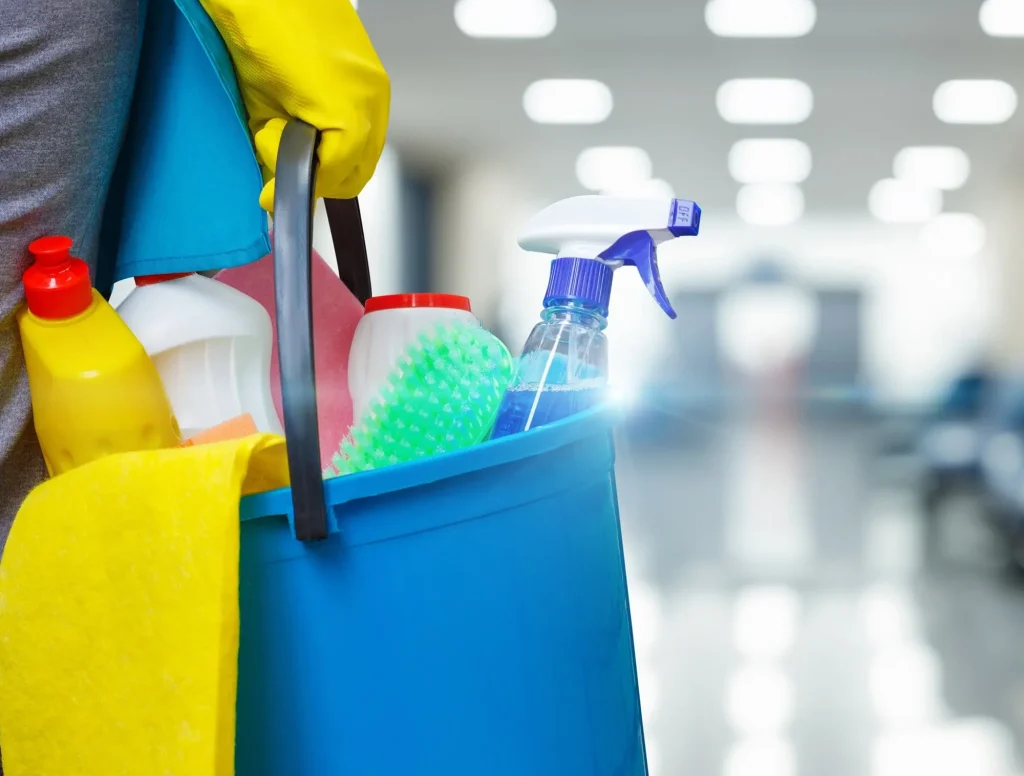 Professional cleaning services
